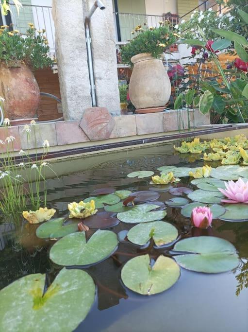 L'Oustaou Dorey Saint-Cyr-sur-Mer Bagian luar foto