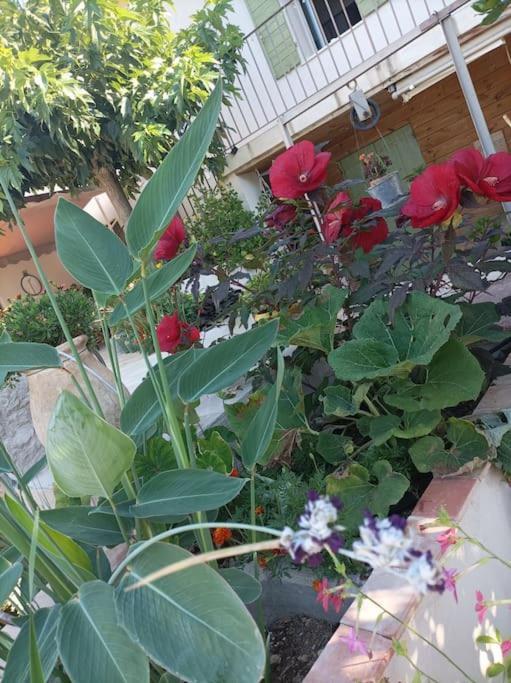 L'Oustaou Dorey Saint-Cyr-sur-Mer Bagian luar foto