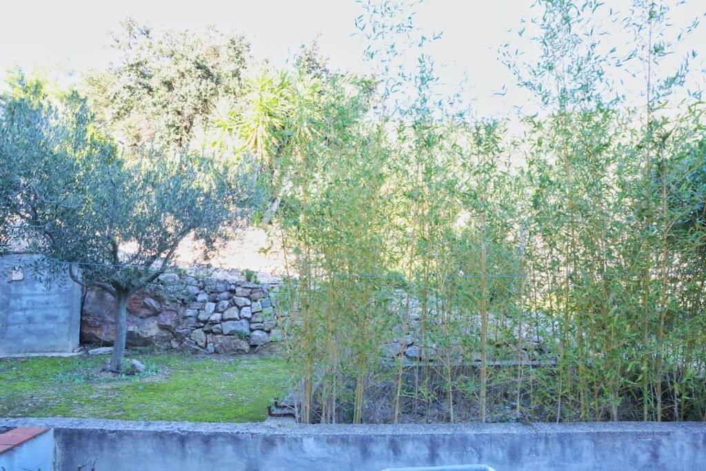L'Oustaou Dorey Saint-Cyr-sur-Mer Bagian luar foto